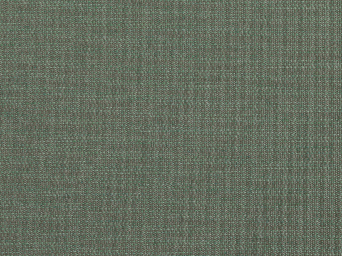 Niehoff Pino Designstuhl, grn