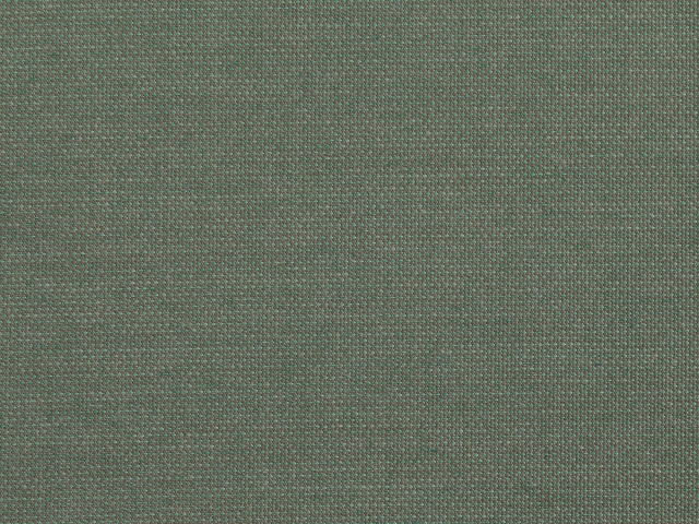 Niehoff Pino Designstuhl, grn