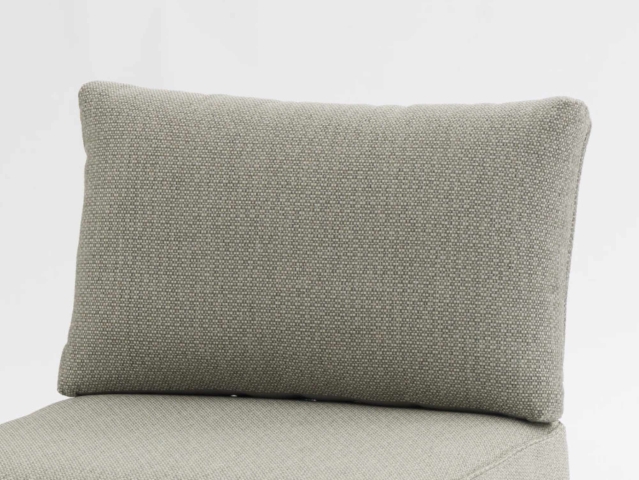 Zebra Fly Lounge R&uuml;ckenkissen Farbe Cashmir